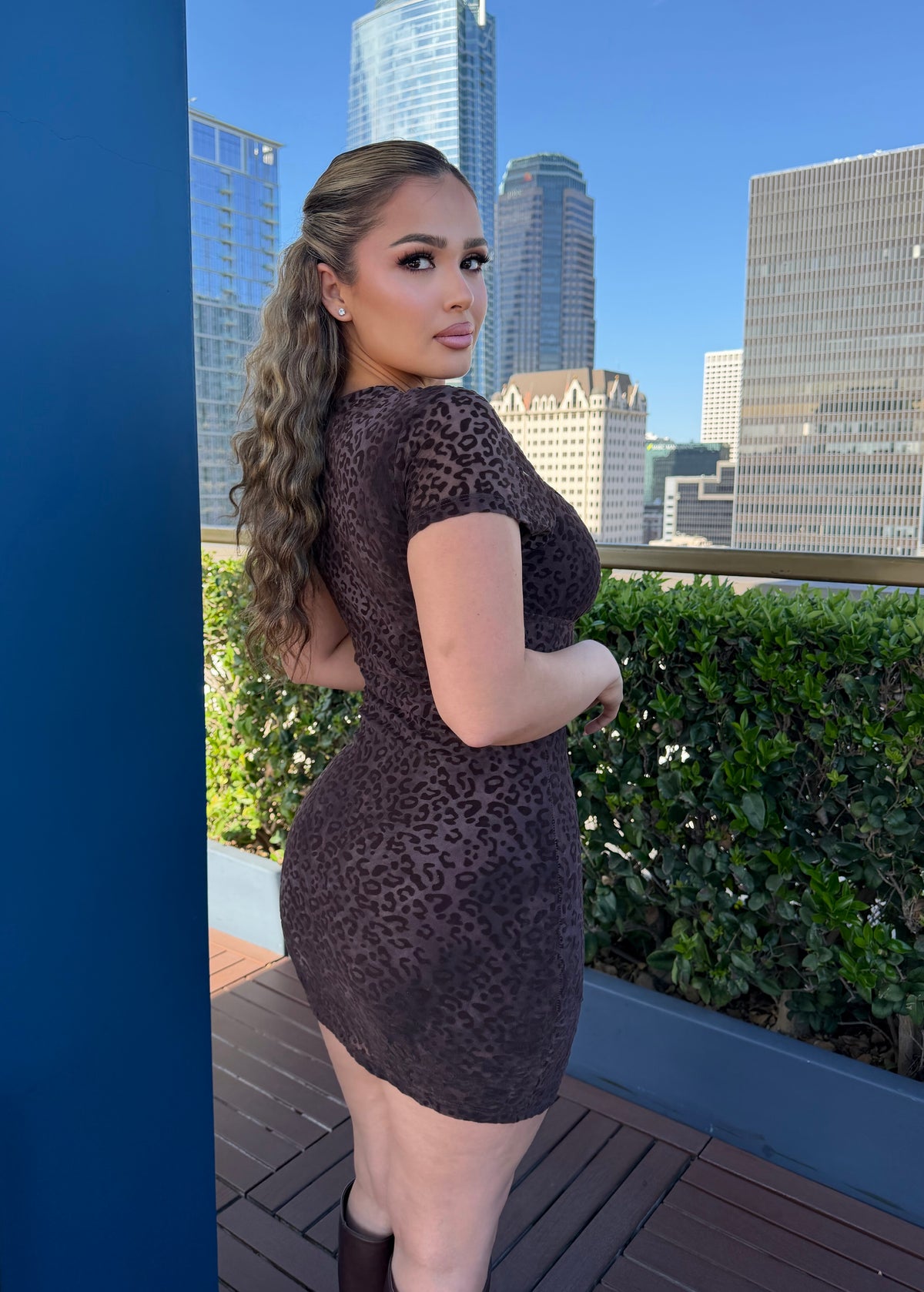 Leona brown Mini Dress