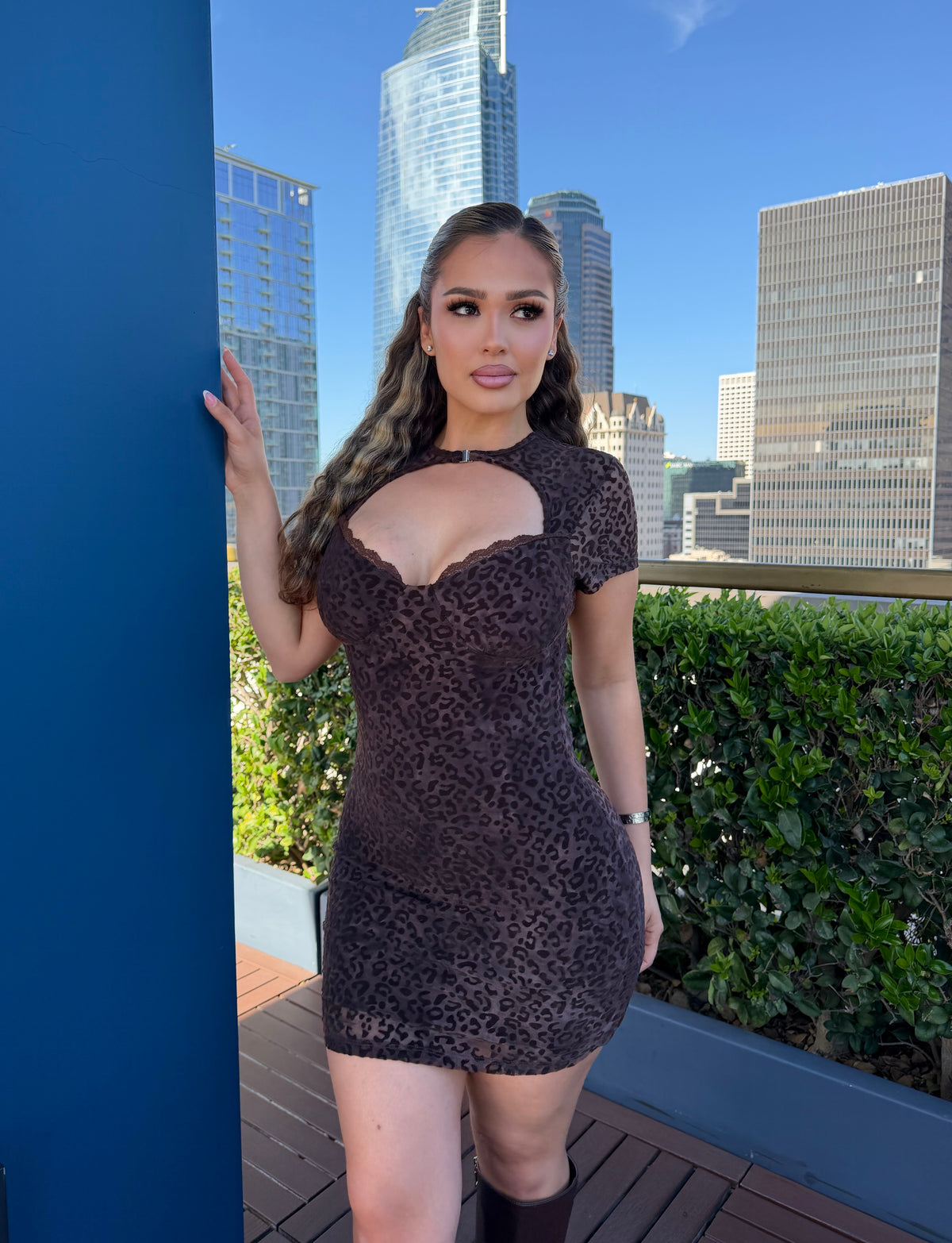 Leona brown Mini Dress