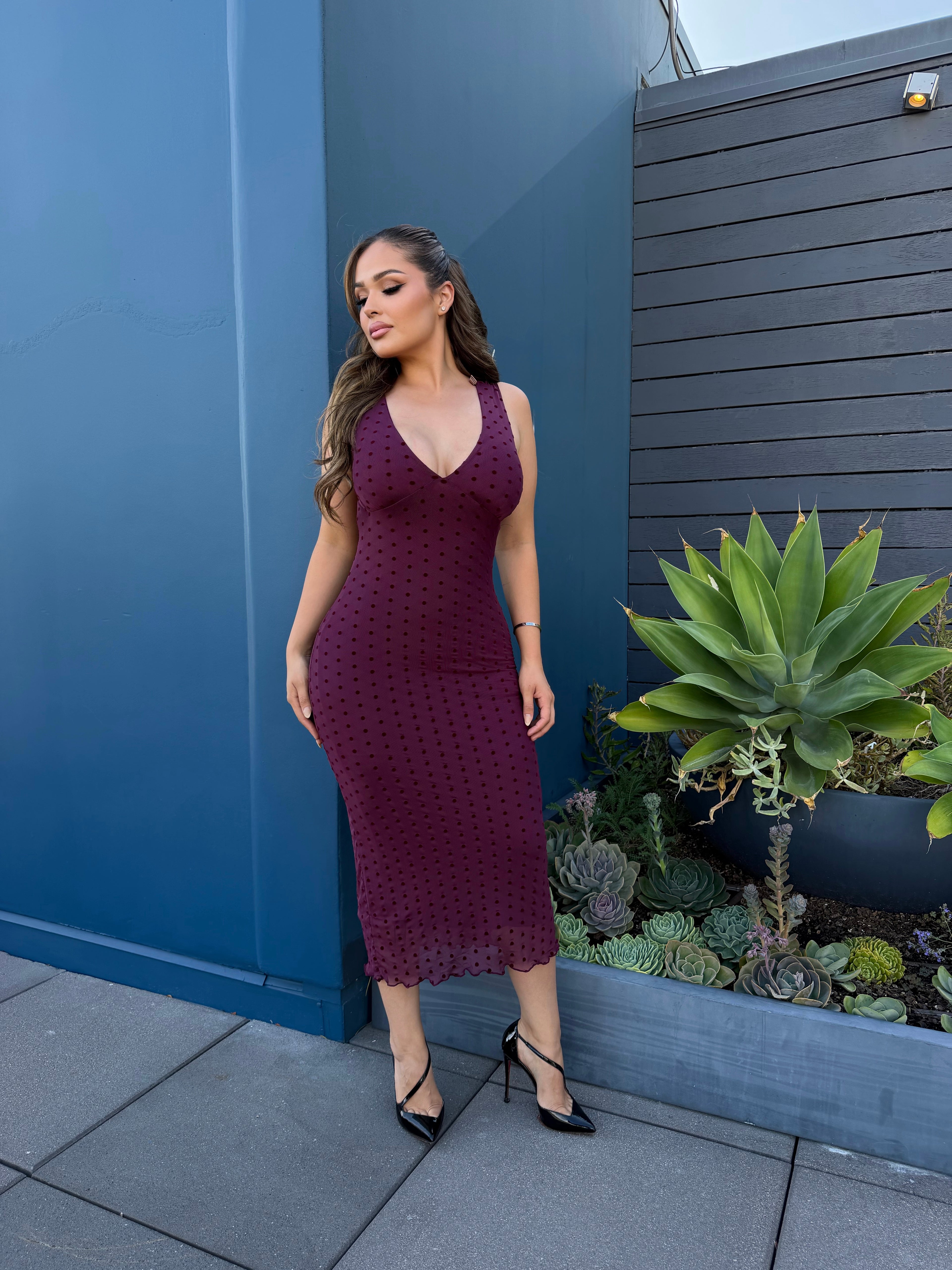 Eve burgundy Polka Dot Dress